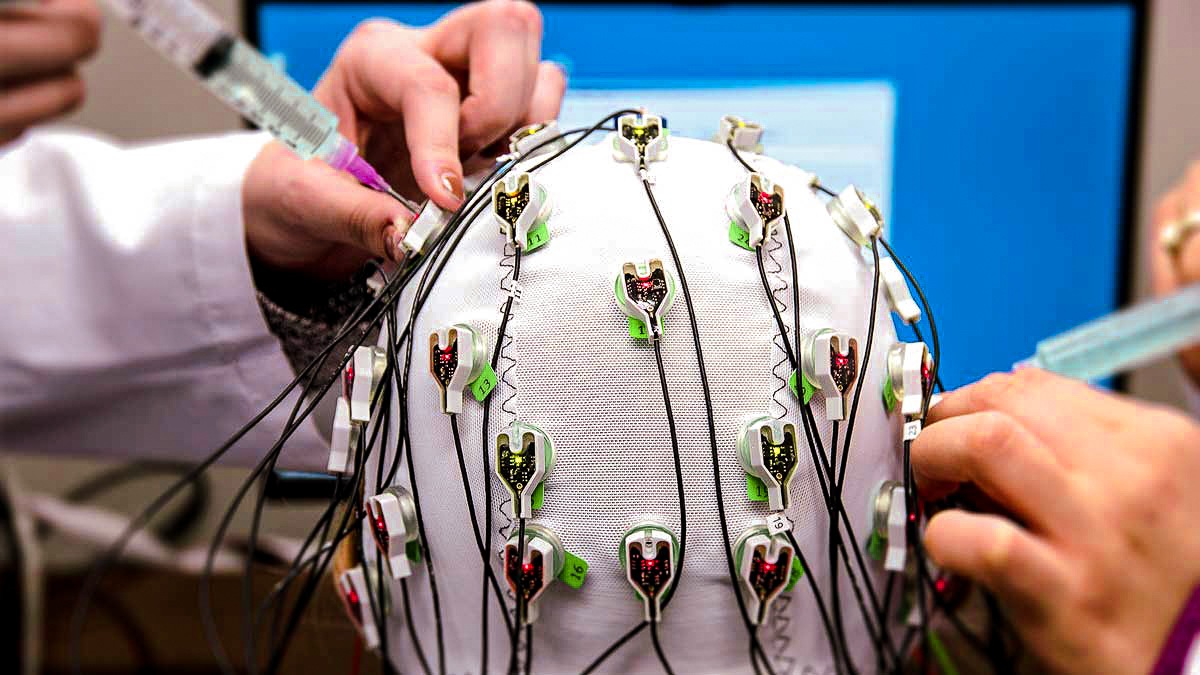 Psychological & Brain Sciences